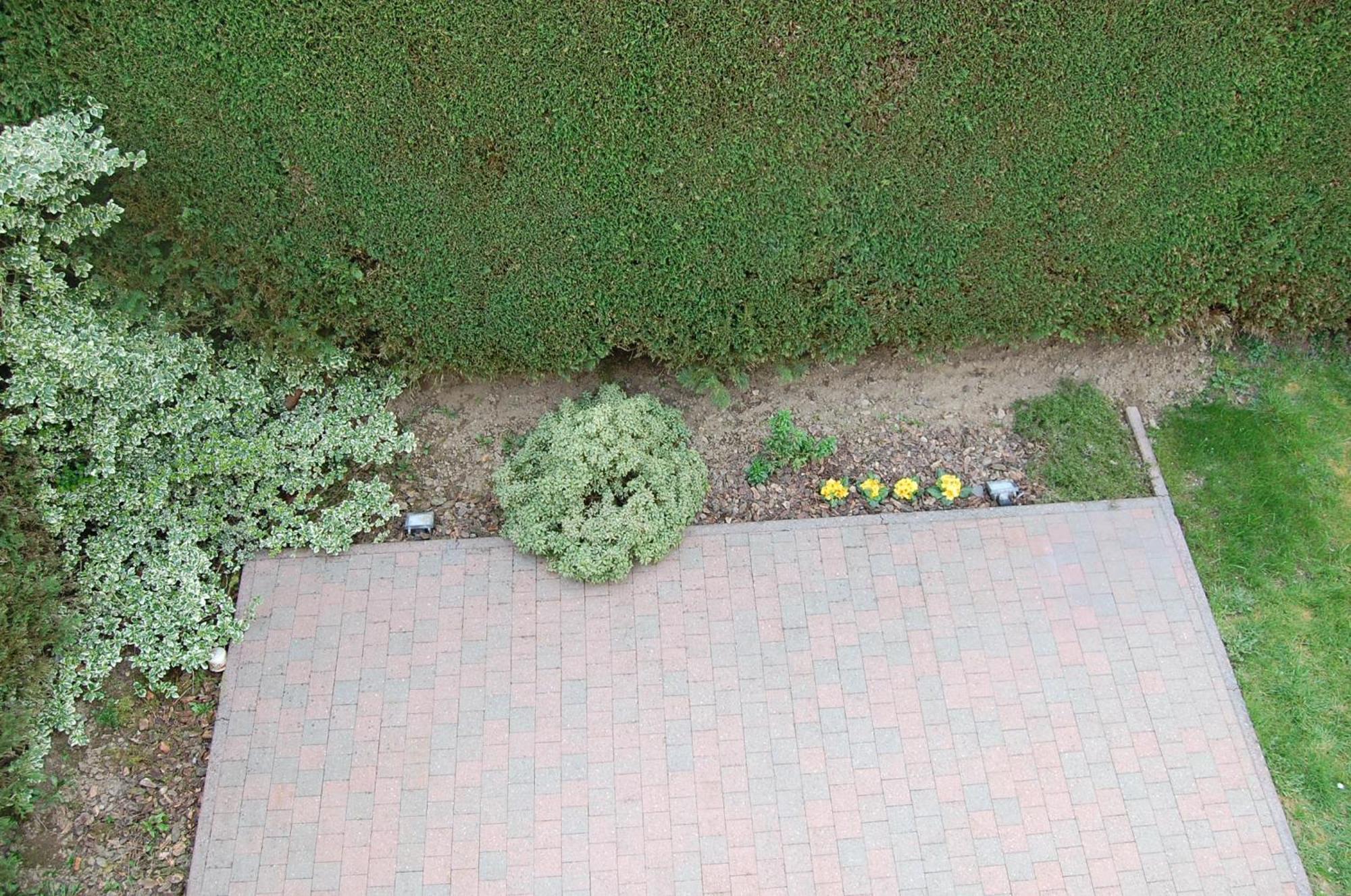 B&B Des Bois Sans Nombre Paliseul Buitenkant foto
